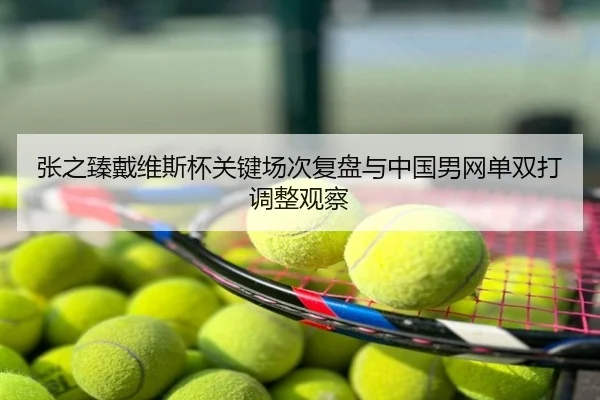 张之臻戴维斯杯关键场次复盘与中国男网单双打调整观察